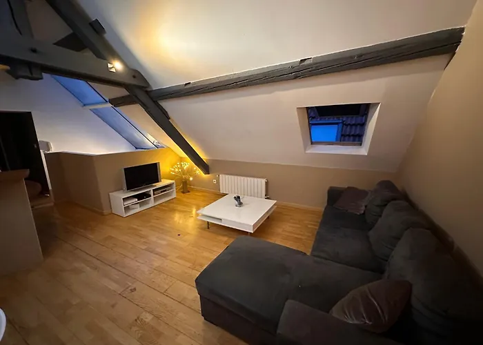 Appartement Des Vignes Metz